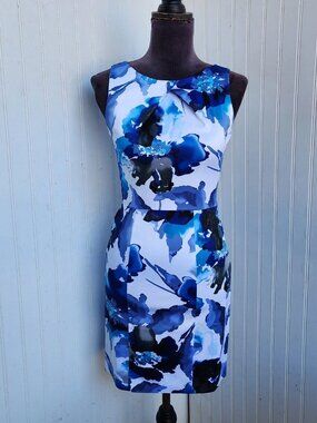 B.Darlin Blue White Sleeveless Zipper Floral Summer Dress
